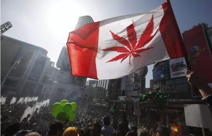 Legalizan la marihuana en Canadá