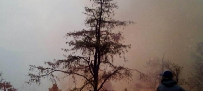 Consume incendio bosques del municipio de Guerrero