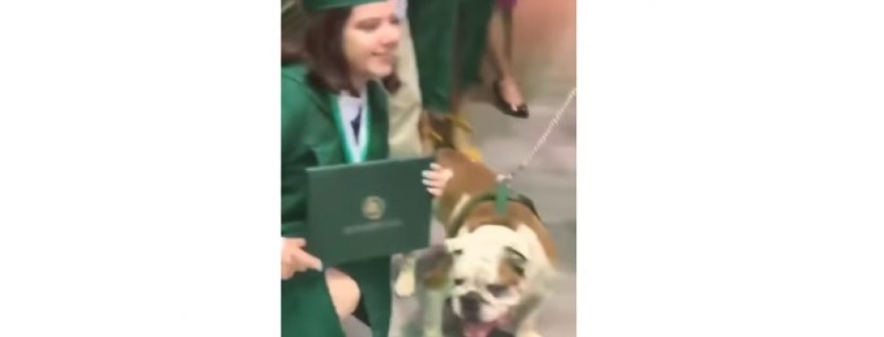 Perrito se come el diploma de su dueña, ¡en plena graduación! (VIDEO)