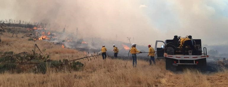 Combaten brigadistas incendio forestal en Buenaventura