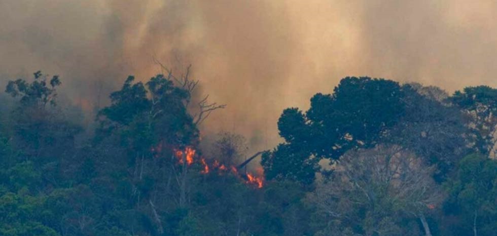El humo de incendios en el Amazonas llega hasta Argentina