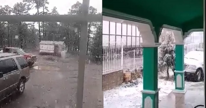 Cae nevada en Madera (VIDEO)