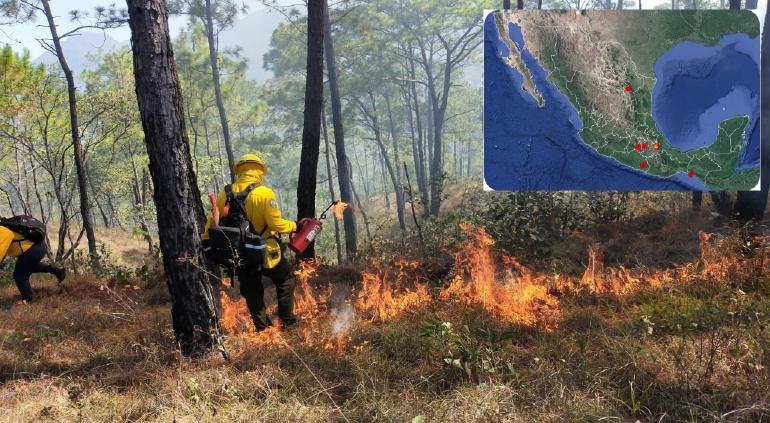 Disminuyen incendios forestales en México; reportan 8 en 5 estados
