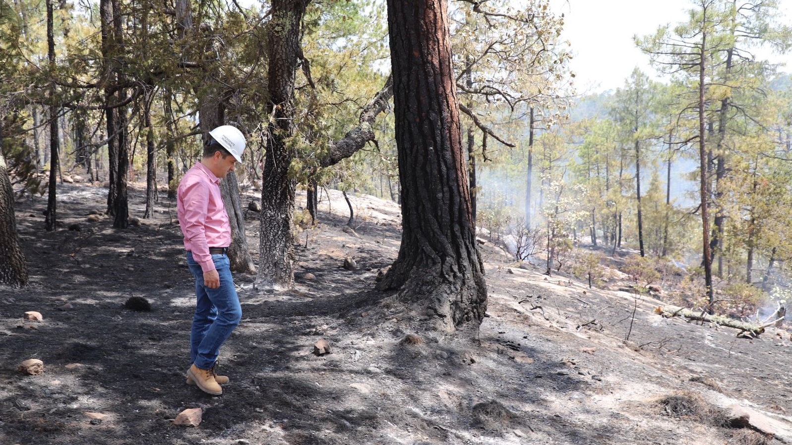 Guachochi: se reúnen Instituciones  para reforzar trabajos frente a la alta temporada de incendios