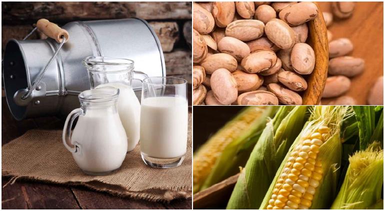 Nuevos precios de garantía: leche a $9.20; apoyos al maíz y frijol