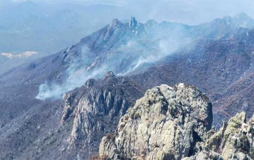 Reportan 2 mil hectáreas consumidas por incendio en Sonora